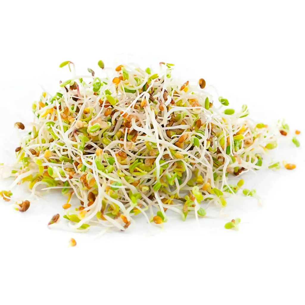 Brotes de Alfalfa 150g