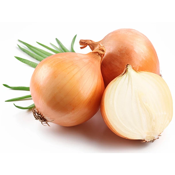 Cebolla Blanca 1UN