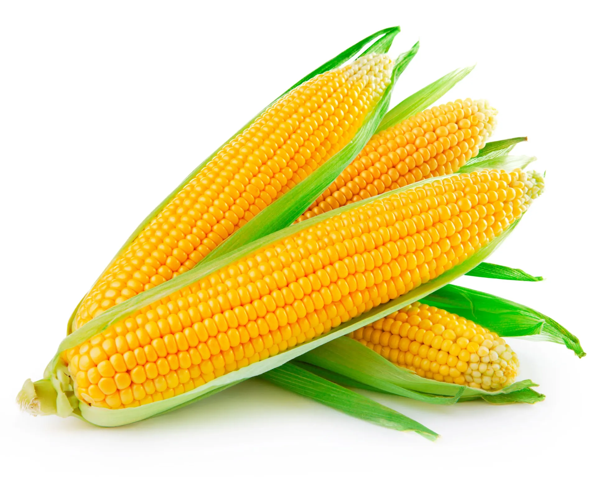 Choclo Americano 1UN