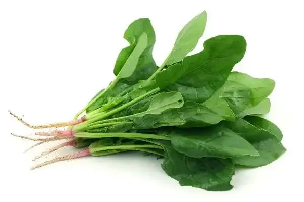 Espinaca 1UN