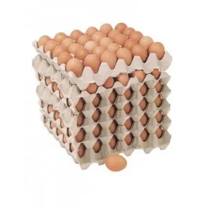 Huevo Súper Color 180UN