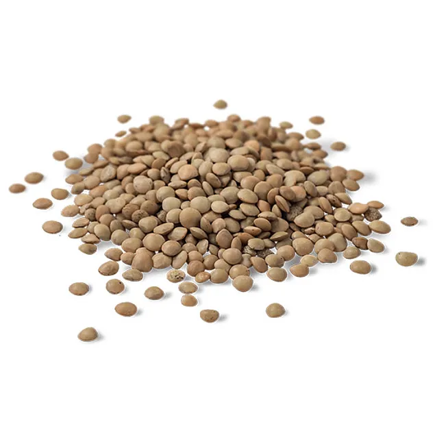 Lentejas 1Kg
