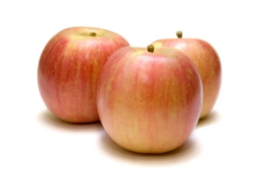 Manzana Fuji caja 15Kg