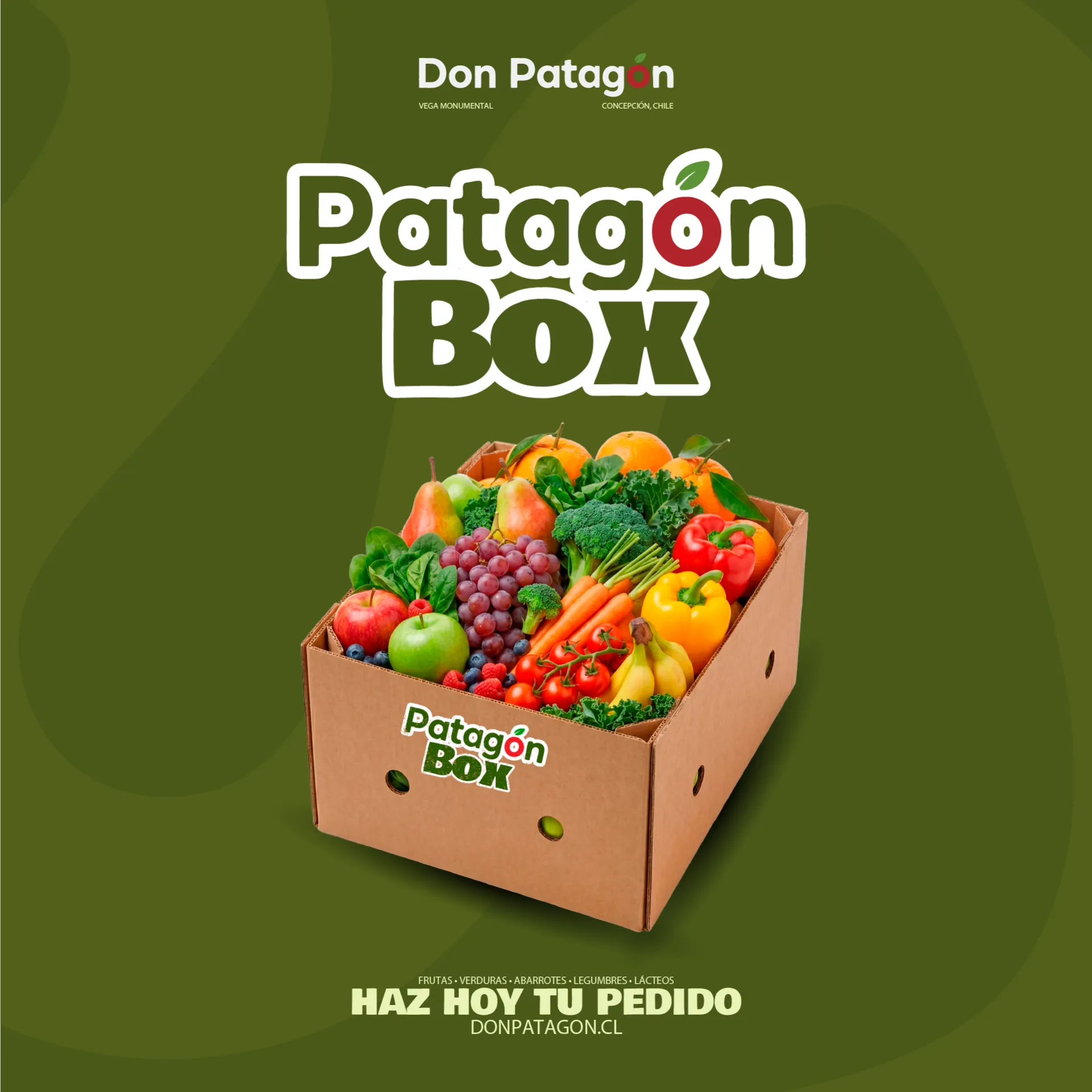 Patagón Box Básico
