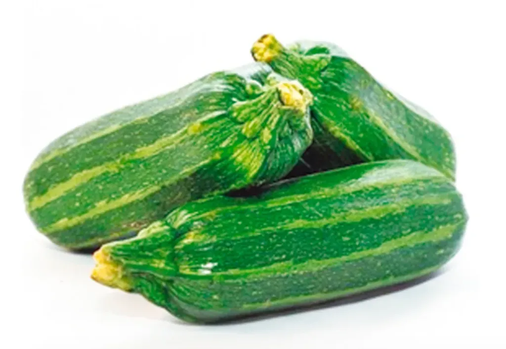 Zapallo Italiano 1UN