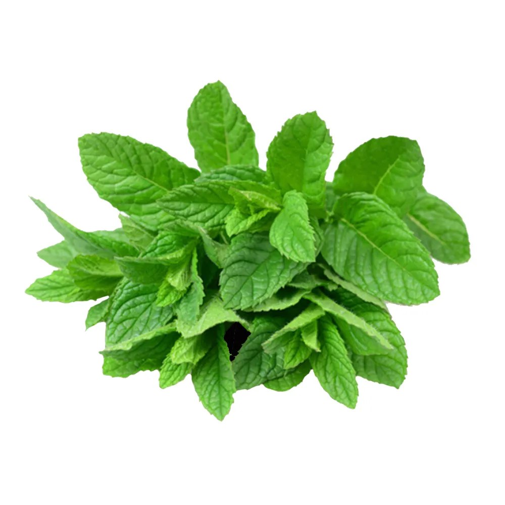 Menta (1Kg)