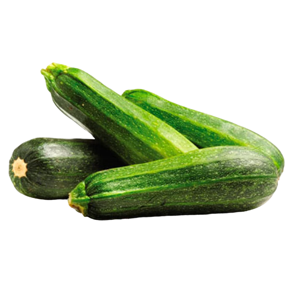 Zapallo Italiano 1UN