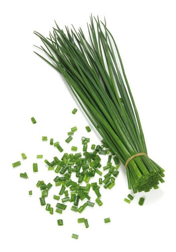 Ciboulette 20g