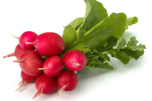 Rabanitos 1UN