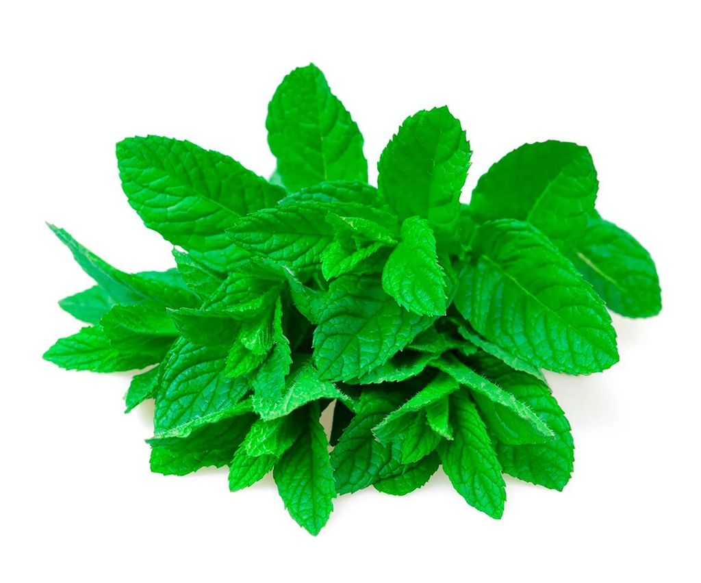 Menta 200g